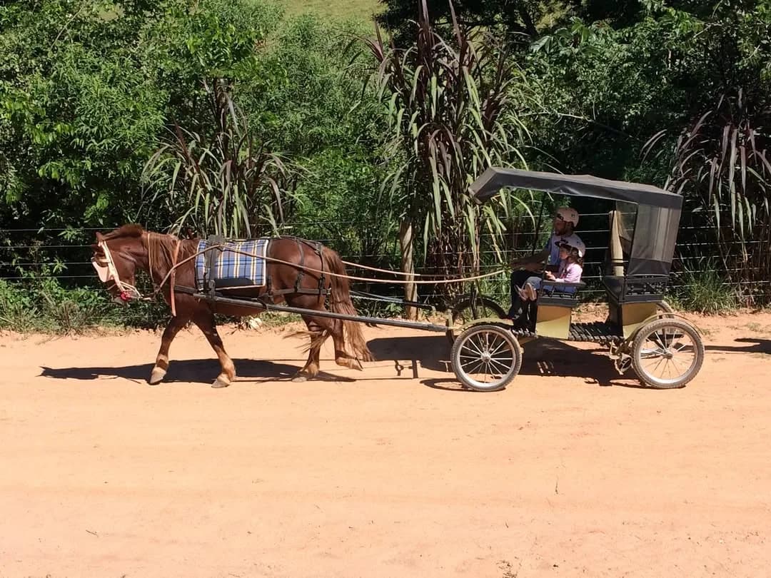 Passeio de Trole